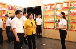 湖北省老促会会长王玲一行来红安调...
