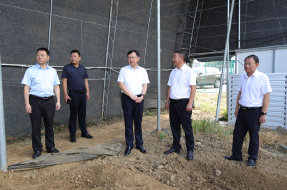 胡广到七里坪镇调研重点工作