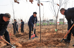 植树添新绿