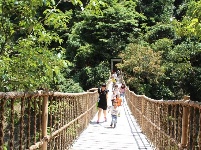   游房县岩屋沟景区