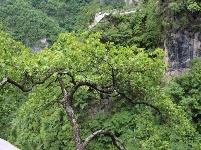   游房县岩屋沟景区