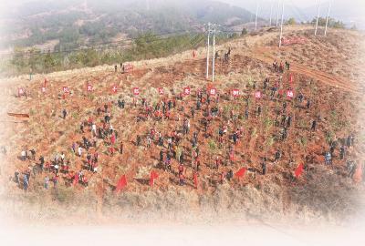 千里绿脉 大地飞歌 ——房县生态文明建设巡礼