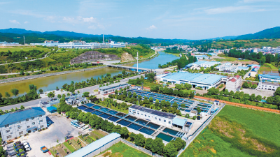 【能力作风建设在行动】县招商服务中心：加强能力作风建设 提升招商引资质效