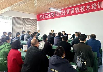 【学习贯彻党的二十大精神】县畜牧兽医服务中心：二十大宣讲走进基层  科学养畜助力农户发展