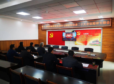 【学习贯彻党的二十大精神】野人谷镇财政所：传达学习贯彻党的二十大精神