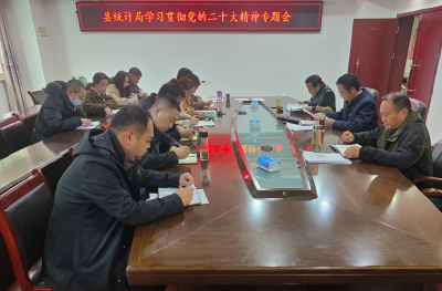 【学习贯彻党的二十大精神】县统计局召开学习贯彻党的二十大精神专题会