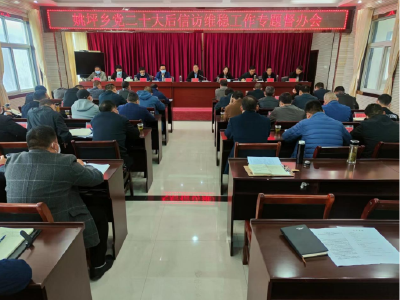 【学习贯彻党的二十大精神】姚坪乡：夯实平安建设基础 推动党的二十大精神落地生根