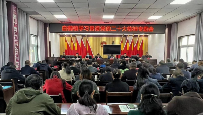 【学习贯彻党的二十大精神】白鹤镇：组织召开学习贯彻党的二十大精神专题会