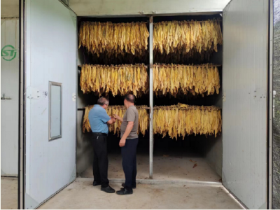 【共同缔造】土城镇：绿烟叶烤出“黄金叶”，产业旺助推乡村兴