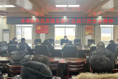 青峰镇传达贯彻县委十五届三次全体（扩大）会议精神