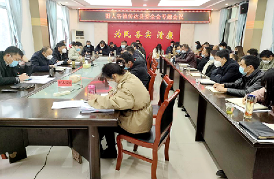 野人谷镇学习传达贯彻县委全会、县“两会”精神
