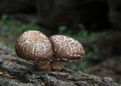  “自己挖出来的水，就是甜”