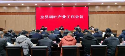 我县部署推进2023年烟叶产业工作