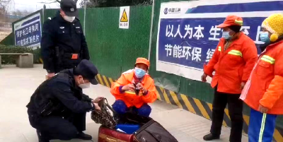 房县城管：日夜坚守美化城市 拾金不昧彰显文明