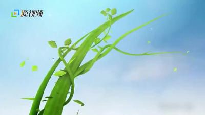 愈后防复！试试十堰人医的“三剑客”小妙方