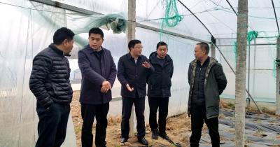 省农业农村厅调研组来房县调研