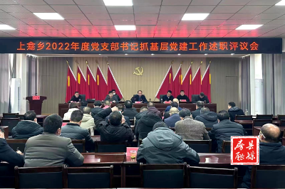 上龛乡召开2022年度党支部书记抓基层党建工作述职评议会