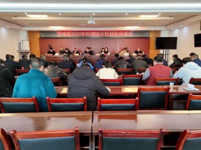 【共同缔造】青峰镇：产业拉练比发展 乡村振兴成效显   