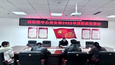 县农经中心党支部：召开2022年度组织生活会