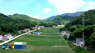 野人谷生态休闲小镇入选湖北特色小镇