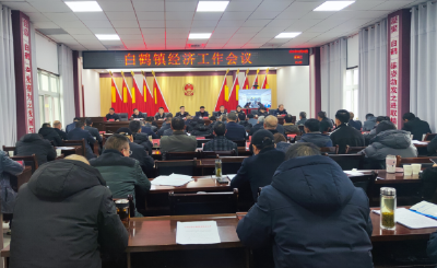 白鹤镇召开2023年经济工作会议：奋楫逐浪开新局 踔厉奋发谱新篇