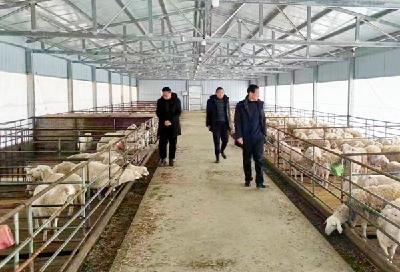 县畜牧兽医服务中心：新春走基层科技送温暖
