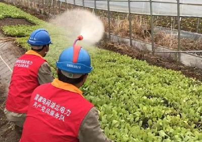 国网房县供电公司：全力保障春耕生产电力安全稳定运行