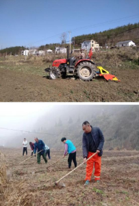 土城镇穿山堰村:阳光明媚春光好，产业发展正当时