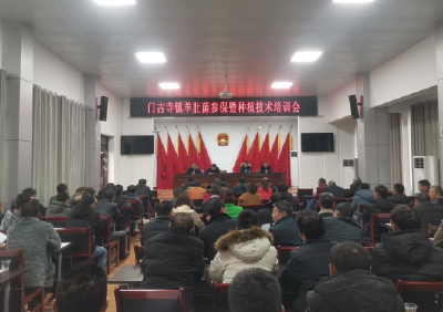 【共同缔造】门古寺镇：推动羊肚菌产业高质量发展  撑起乡村振兴“富民伞”