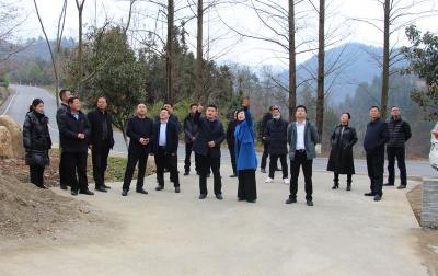 马兰起到窑淮镇调研乡村振兴项目建设