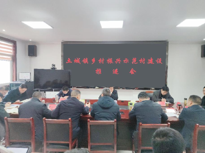 马兰起到土城镇调研乡村振兴示范村建设