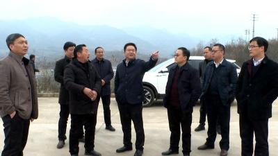 谢晓鸣要求：抓好用地要素保障  推进项目早落地早投产