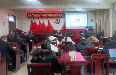 【能力作风建设在行动】大木厂镇：“三抓三提”促“能力作风建设”活动扎实开展