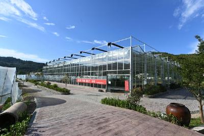 【共同缔造】化龙堰镇：强产业促发展助力乡村振兴