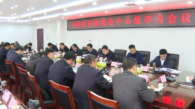 县政府党组开展理论中心组集中学习