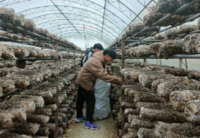 房县沙河乡：校企联合 劳动教育出新招