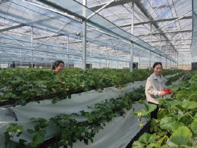 县委党校开展庆祝“三八”妇女节系列活动