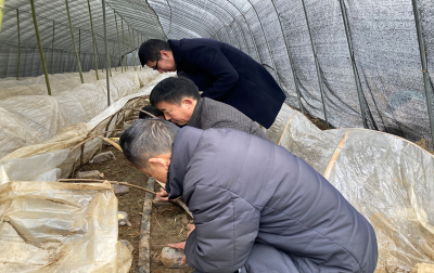 县蔬菜服务中心：加强服务 为产业发展保驾护航