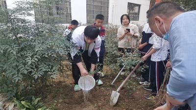 房县城关一中：爱我校园 绿满城中