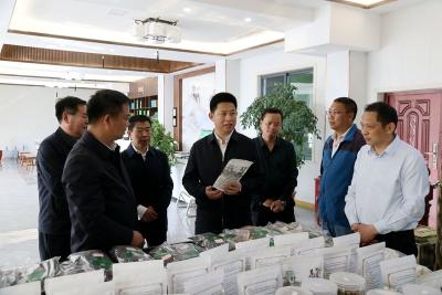 纪道清到沙河尹吉甫调研时强调：落实落地七大产业链政策  推动乡村振兴示范村建设结硕果