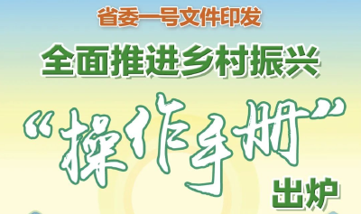 省委一号文件印发 全面推进乡村振兴“操作手册”出炉