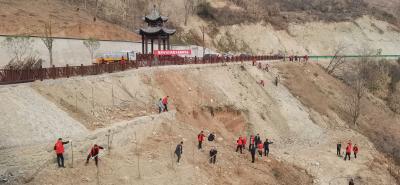 姚坪乡：政企联动义务植树护岸增绿