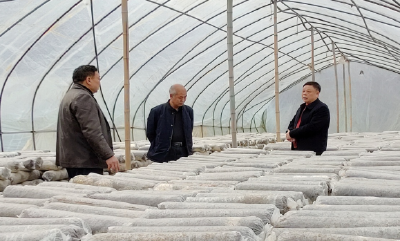 县人大常委会副主任李志权督导供销社企业春季安全生产