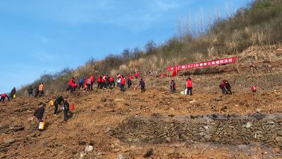 大木厂镇：不负春光植树忙　乡村振兴绿满山