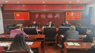 【能力作风建设在行动】房县乡村振兴局：青年座谈会提能力促成长
