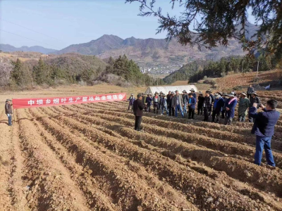 中坝乡:聚焦产业促发展党建引领谱新篇