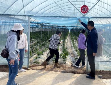 情暖三月别样的三八节