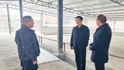 县畜牧兽医服务中心：安全检查进场普法宣传入心