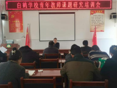 【能力作风建设在行动】白鹤学校聚焦能力作风建设 助力青年教师成长