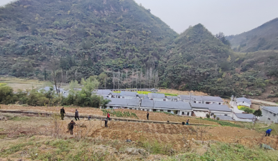 姚坪乡：边坡治理实现生态与产业双赢